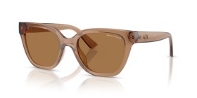 Armani Exchange AX4164SU 839673 53