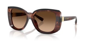 Dolce & Gabbana DG4495 322274 56