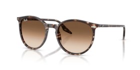Ray-Ban RB2204 143151 54