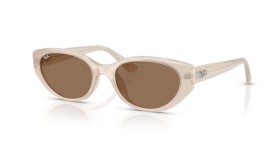 Ray-Ban RB4457D 678673 55