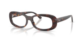 Ray-Ban RX2221V 2012 53