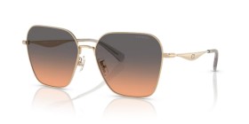 Coach HC7168 900518 58