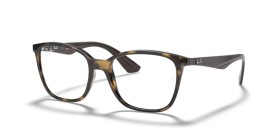 Ray-Ban RX7066 5577 54
