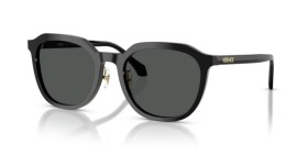 Versace VE4493D GB1/87 55