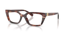Dolce & Gabbana DG3436 3222 53