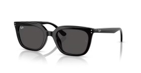 Ray-Ban RB4439D 901/87 54