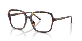 Dolce & Gabbana DG3442 502 55
