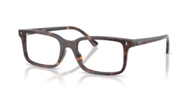 Ray-Ban RX5445 2012 54