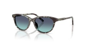Dolce & Gabbana Kids DX4010 34434S 48