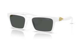 Versace VE4490U 314/87 55