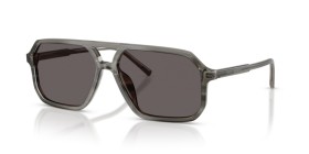 Dolce & Gabbana DG4541 347987 59