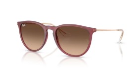 Ray-Ban Erika RB4171 6815A5 54