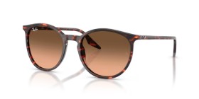 Ray-Ban RB2204 14293B 51