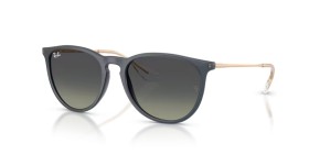 Ray-Ban Erika RB4171 681311 54