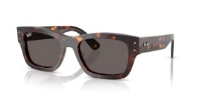 Ray-Ban Joseph RB7683S 902/B1 55
