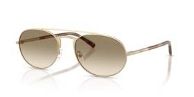 Emporio Armani EA2171 300213 57