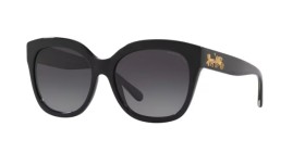 Coach HC8264 5002T3 56
