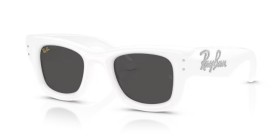Ray-Ban Wayfarer Puffer RB4940B 686387 47