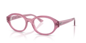 Ray-Ban Shilo RX7257 8435 52
