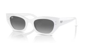 Ray-Ban Zena RB4430 675911 52