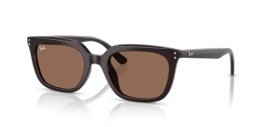 Ray-Ban RB4439D 623173 54