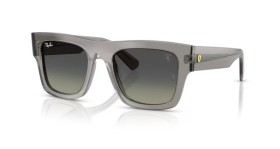 Ray-Ban RB2217M F70411 53