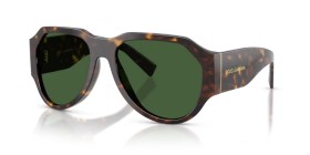 Dolce & Gabbana DG4504 502/71 58