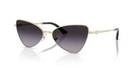 Jimmy Choo JC4015HB 30068G 57