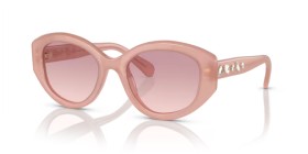 Swarovski SK6005 102568 53