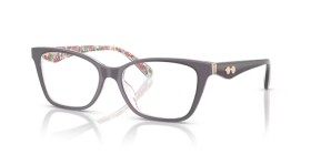 Coach HC6248U 5895 52