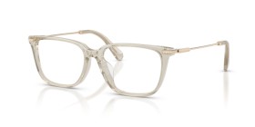 Swarovski SK2067D 3003 53