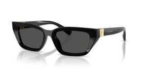 Dolce & Gabbana DG4532 501/87 53