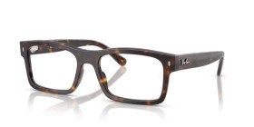 Ray-Ban RX5435 2012 54