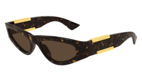 Bottega Veneta BV1407S 002 53