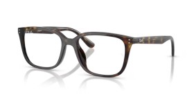 Ray-Ban RX7248D 2012 55