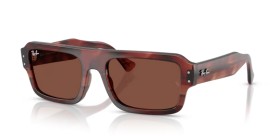 Ray-Ban Flacko RB4454 1452C5 53