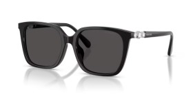 Swarovski SK6053D 103887 55