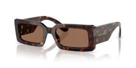 Dolce & Gabbana DG4416 193573 53