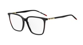 Hugo Boss HG 1381 807 55