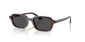 Ray-Ban Zuri RB4455 135987 49