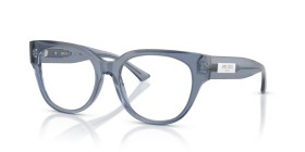 Jimmy Choo JC3035 5067 51