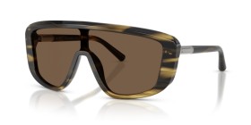 Dolce & Gabbana DG4520 306373 28