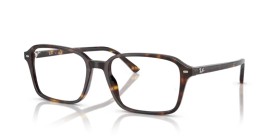 Ray-Ban Raimond RX5431 2012 54