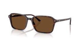 Ray-Ban Raimond RB2231 902/57 58