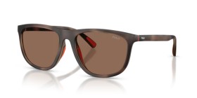 Polo PH4231U 597473 57