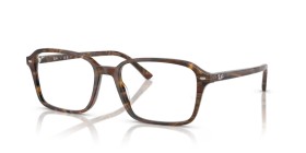 Ray-Ban Raimond RX5431 8395 54