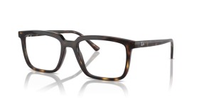 Ray-Ban Alain RX7239 2012 54