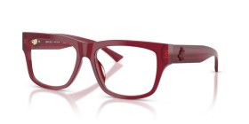 Jimmy Choo JC3049U 5081 55