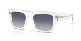 Ray-Ban RB2217M F7064L 53