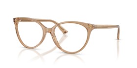 Jimmy Choo JC3047 5076 52